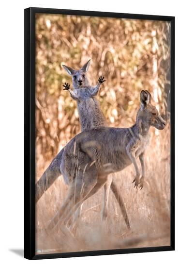 Poster, , large