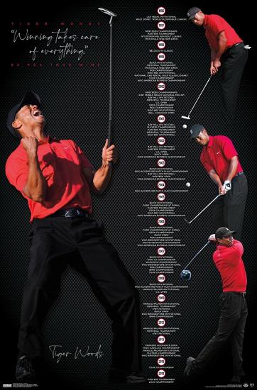 Poster, , large