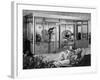 Trendy Conservatory-null-Framed Photographic Print