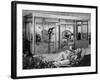 Trendy Conservatory-null-Framed Photographic Print