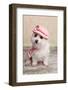 Trendy Cute Dog-lovleah-Framed Photographic Print