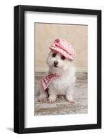 Trendy Cute Dog-lovleah-Framed Photographic Print