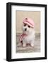 Trendy Cute Dog-lovleah-Framed Photographic Print