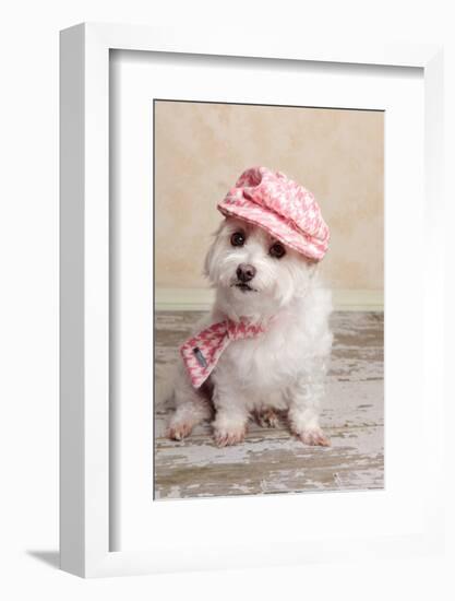 Trendy Cute Dog-lovleah-Framed Photographic Print