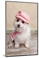 Trendy Cute Dog-lovleah-Mounted Photographic Print