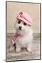 Trendy Cute Dog-lovleah-Mounted Photographic Print