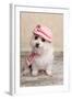 Trendy Cute Dog-lovleah-Framed Photographic Print