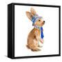 Trendy Meadow Buddy I (Tie)-Lanie Loreth-Framed Stretched Canvas