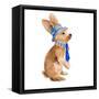 Trendy Meadow Buddy I (Tie)-Lanie Loreth-Framed Stretched Canvas