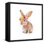 Trendy Meadow Buddy II (Pearls)-Lanie Loreth-Framed Stretched Canvas