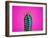 Trendy Neon Cactus Closeup over Bright Pink Pastel Background. Colorful Summer Trendy Creative Conc-null-Framed Photographic Print