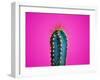 Trendy Neon Cactus Closeup over Bright Pink Pastel Background. Colorful Summer Trendy Creative Conc-null-Framed Photographic Print