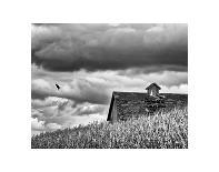 Windmill and Barn-Trent Foltz-Art Print