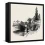 Trent Locks-null-Framed Stretched Canvas