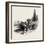 Trent Locks-null-Framed Giclee Print