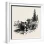 Trent Locks-null-Framed Giclee Print