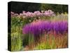 Trentham Gardens-Clive Nichols-Stretched Canvas