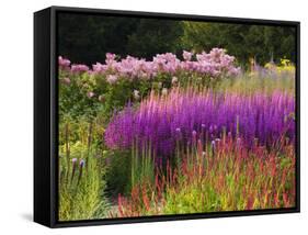 Trentham Gardens-Clive Nichols-Framed Stretched Canvas