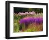 Trentham Gardens-Clive Nichols-Framed Photographic Print