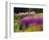 Trentham Gardens-Clive Nichols-Framed Photographic Print