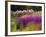 Trentham Gardens-Clive Nichols-Framed Photographic Print