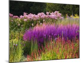 Trentham Gardens-Clive Nichols-Mounted Photographic Print