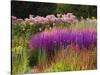 Trentham Gardens-Clive Nichols-Stretched Canvas