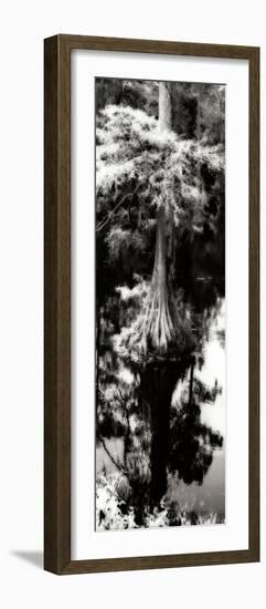 Trenton Cyprus Panel I-Alan Hausenflock-Framed Photographic Print