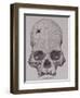 Trepanned Skull, from Incidents of Travel and Exploration in the Land of the Incas-null-Framed Giclee Print