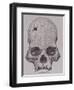 Trepanned Skull, from Incidents of Travel and Exploration in the Land of the Incas-null-Framed Giclee Print