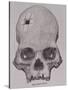 Trepanned Skull, from Incidents of Travel and Exploration in the Land of the Incas-null-Stretched Canvas