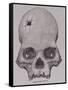 Trepanned Skull, from Incidents of Travel and Exploration in the Land of the Incas-null-Framed Stretched Canvas