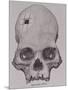 Trepanned Skull, from Incidents of Travel and Exploration in the Land of the Incas-null-Mounted Giclee Print