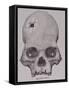 Trepanned Skull, from Incidents of Travel and Exploration in the Land of the Incas-null-Framed Stretched Canvas