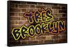 Tres Brooklyn (Graphitti)-null-Framed Stretched Canvas