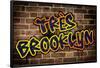 Tres Brooklyn (Graphitti)-null-Framed Poster