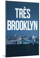 Tres Brooklyn (Skyline)-null-Mounted Poster