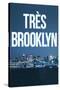 Tres Brooklyn (Skyline)-null-Stretched Canvas