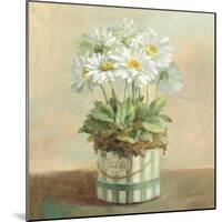 Tres Chic Daisies-Danhui Nai-Mounted Art Print