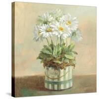 Tres Chic Daisies-Danhui Nai-Stretched Canvas