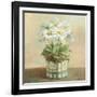 Tres Chic Daisies-Danhui Nai-Framed Art Print