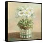 Tres Chic Daisies-Danhui Nai-Framed Stretched Canvas