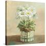 Tres Chic Daisies-Danhui Nai-Stretched Canvas