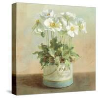 Tres Chic Poppies-Danhui Nai-Stretched Canvas