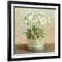 Tres Chic Poppies-Danhui Nai-Framed Art Print