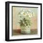 Tres Chic Poppies-Danhui Nai-Framed Art Print