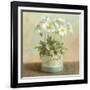 Tres Chic Poppies-Danhui Nai-Framed Art Print