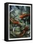 Tres Koi II-Tim O'toole-Framed Stretched Canvas