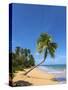 Tres Palmitas Beach, Loiza, Puerto Rico-Katja Kreder-Stretched Canvas