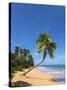 Tres Palmitas Beach, Loiza, Puerto Rico-Katja Kreder-Stretched Canvas